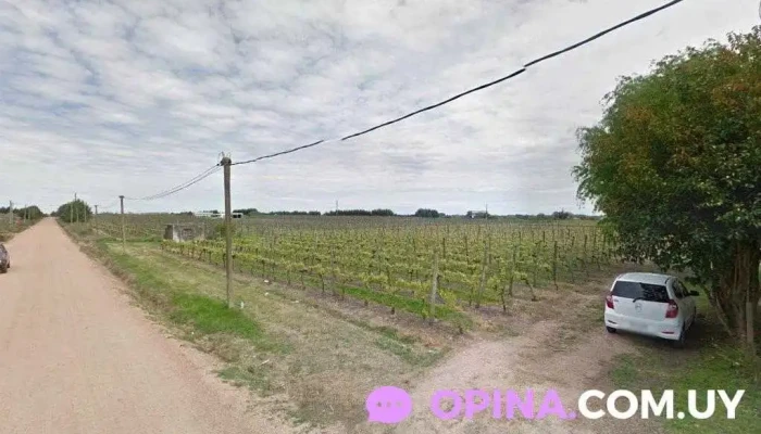 Escuela 45 Praxedes Pino - Las Piedras