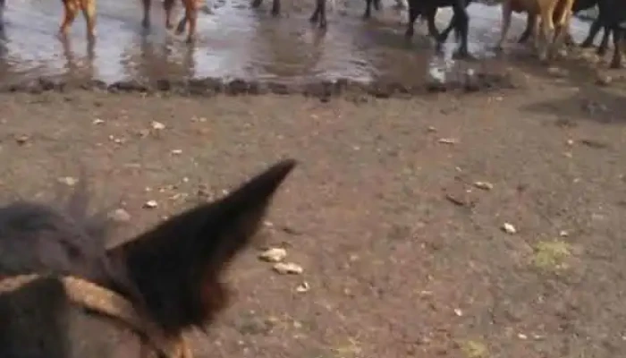 Escuela 6 Belèn - Belén