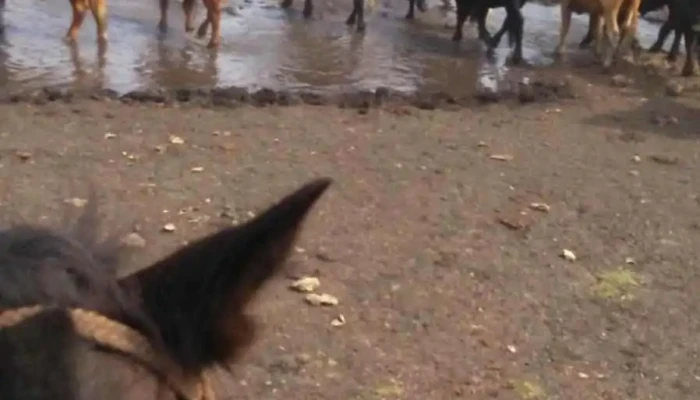 Escuela 6 Belen Comentarios - Belén