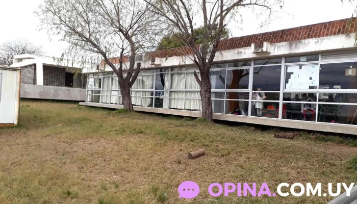 Escuela 82 Colonia Del Sacramento -  Edificio - Col. del Sacramento