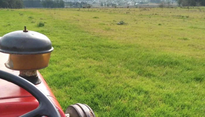 Escuela Agraria Melo Utu Como Llegar - Melo