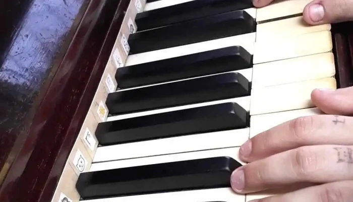 Escuela Artistica De La Costa La Musica Nos Une Videos - Ciudad de la Costa