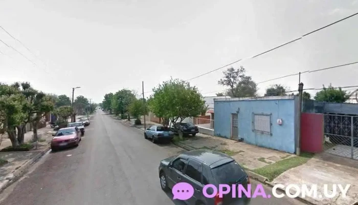 Escuela Cife - Artigas