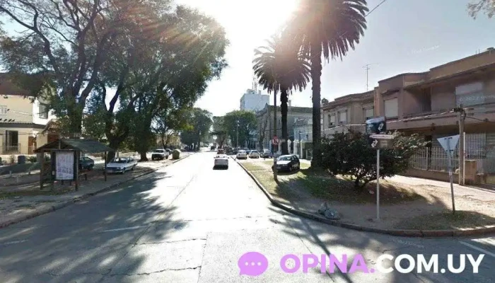 Escuela de adulto mayor - Montevideo