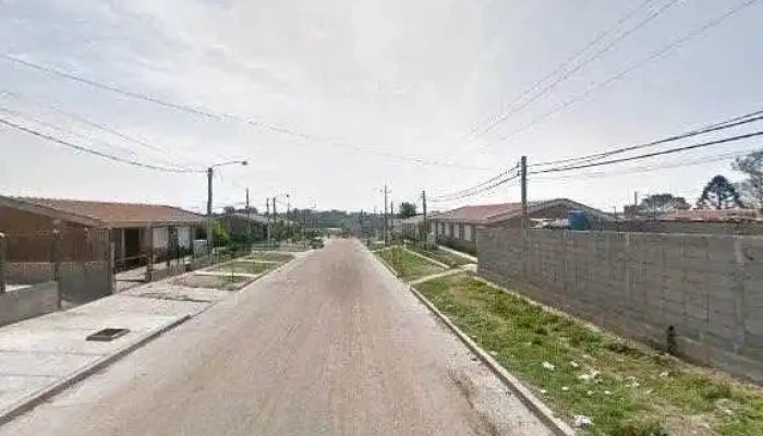 Escuela De Ballet Celia Montesdeoca -  Puntajedeg - Florida