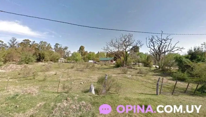 Escuela De Ballet Uruguay - San Ramón