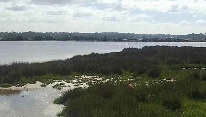 Escuela De Policia Maldonado -  Videos - Punta del Este