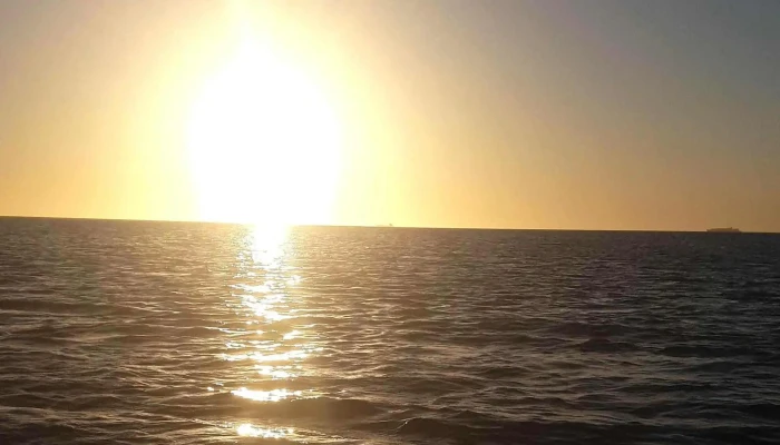 Escuela De Remo De Punta Carretas -  Numero - Montevideo