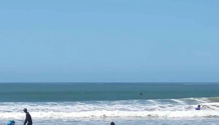 Escuela de Surf H2o - La Paloma