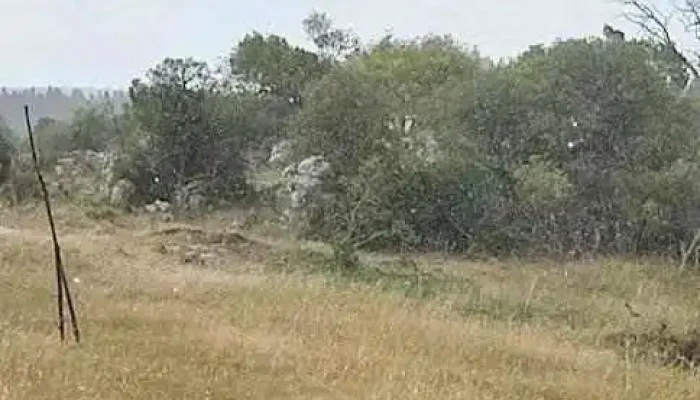 Escuela De Tiempo Completo En Jose Pedro Varela Lavalleja - José Batlle Y Ordóñez