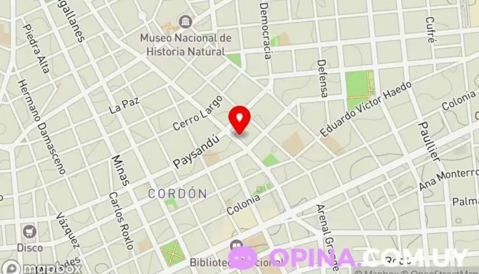 mapa de Escuela Especial N° 209 Escuela primaria en Montevideo