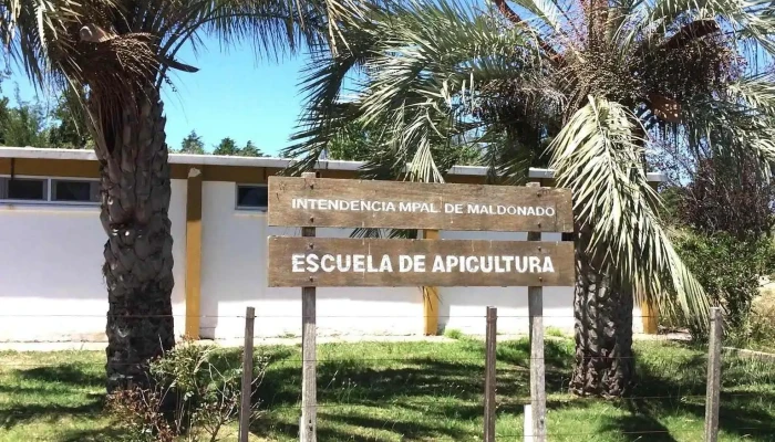 Escuela Municipal De Apicultura De San Carlos -  Videos - Barrio Frigorifico