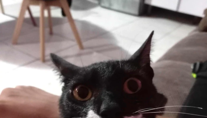 Escuela Ndeg 153 Montevideo - Montevideo