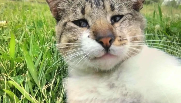 Escuela Ndeg 16 Descuentos - Ejido de Treinta y Tres