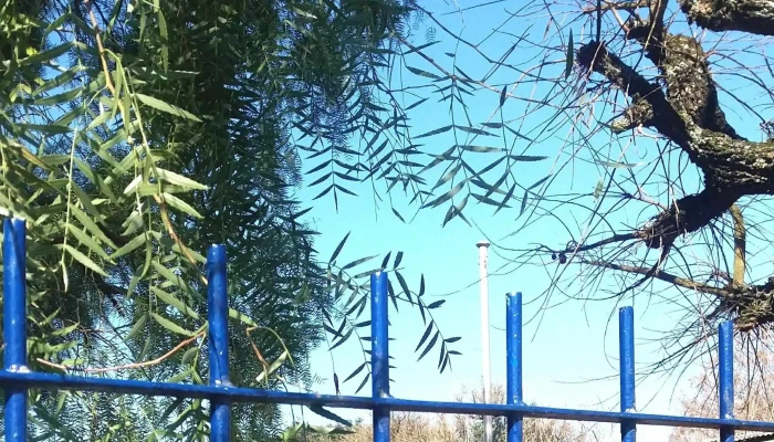 Escuela Ndeg 173 Las Piedras - Las Piedras