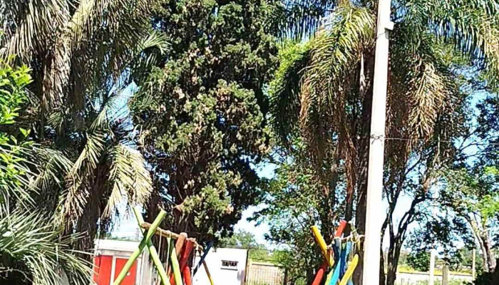 Escuela Ndeg 236 Videos - Montevideo