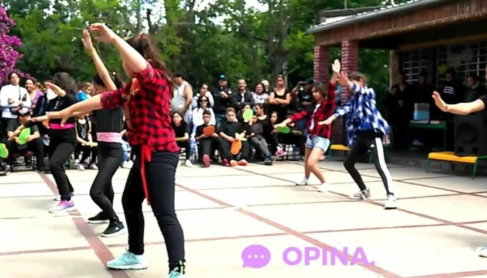 Escuela Ndeg 269 Videos - Las Piedras