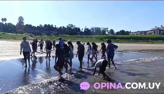 Escuela Ndeg 317 Igua Videos - Montevideo