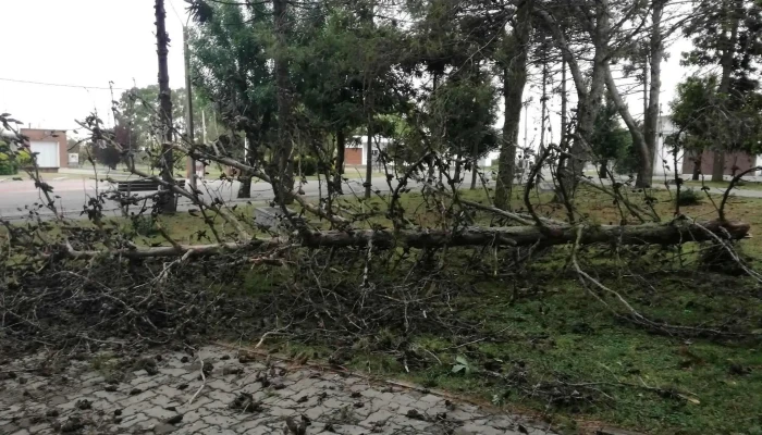 Escuela Ndeg 32 Juana De Ibarbourou Horario - Ombúes de Lavalle