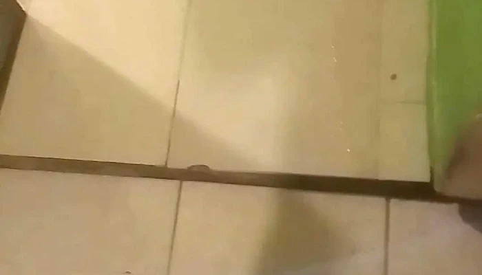 Escuela Ndeg 326 Tiempo Completo Videos - Montevideo