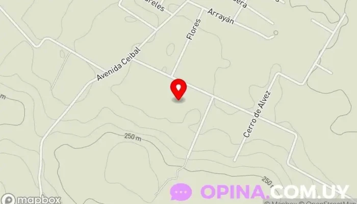 mapa de Escuela N° 54 Miguel Aguerre Aristegui Escuela en Rivera