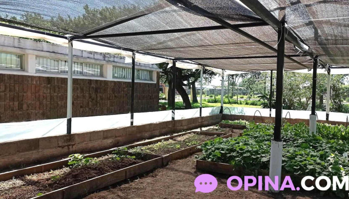 Escuela Ndeg137 Solar De Artigas Opiniones - Carmelo