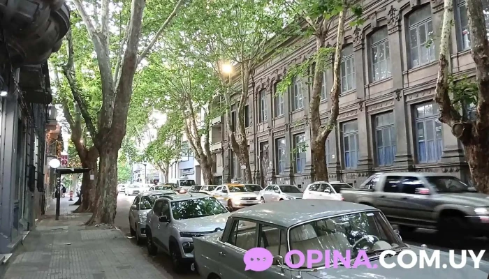 Escuela Ndeg4 Artigas Videos - Montevideo