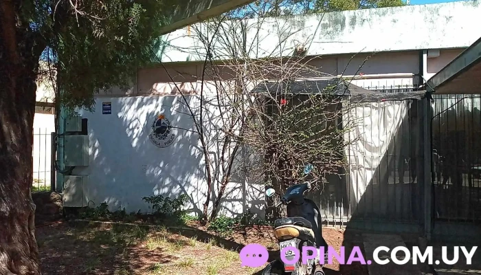 Escuela Ndeg98 Jose Enrique Rodo Ubicacion - Salto