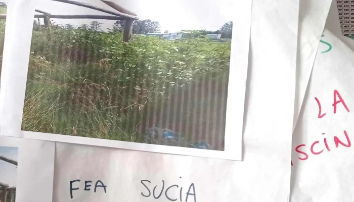 Escuela No 117 Carmelo Puntaje - Carmelo