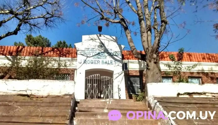 Escuela No 144   Paul Harris Cerca De Mi - Rivera