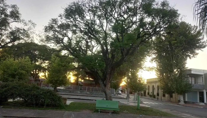 Escuela No.3 "Juana De Ibarbourou" - Melo