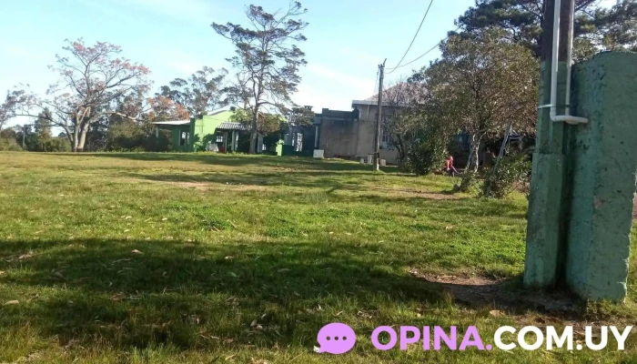 Escuela No 37 Don Francisco Piria Precios - Piriápolis