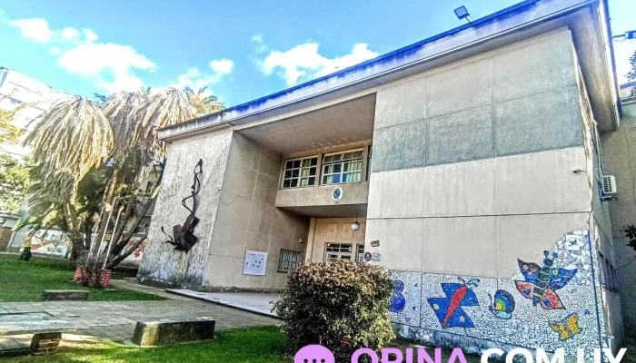 Escuela No 60 69 Jose H Figueira Mas Recientes - Montevideo