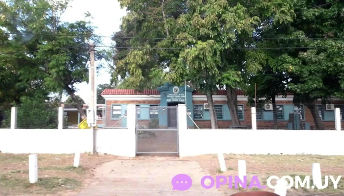 Escuela No 99 Brigadier General Manuel Oribe Descuentos - Salto