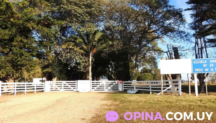 Escuela No24 Paso De La Paja Promocion - El Quijote