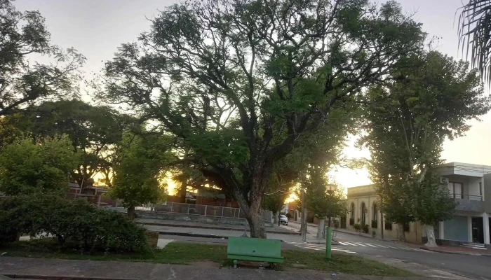 Escuela No3 Juana De Ibarbourou Horario - Melo