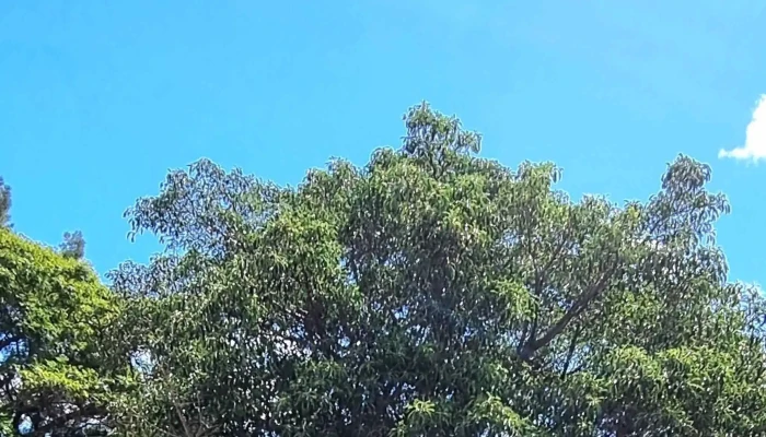 Escuela No64 Espana Salto Cerca De Mi - Salto