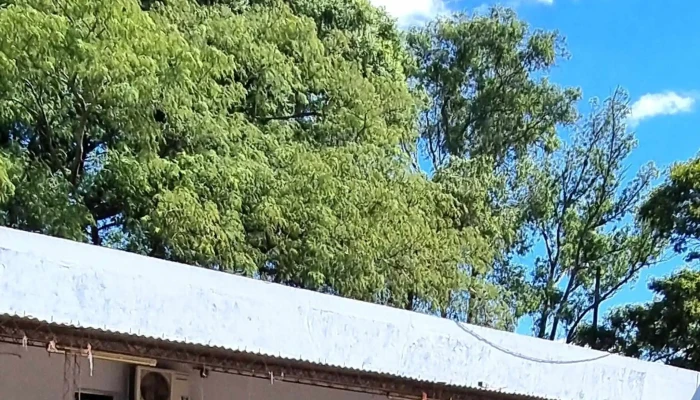 Escuela No64 Espana Salto Como Llegar - Salto