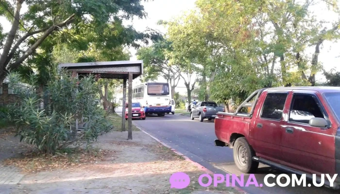 Escuela No82 Juana De Ibarbourou Puntaje - Punta del Este