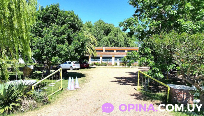 Escuela Numero 88 Las Violetas (Alfred Nobel) - Departamento De Canelones