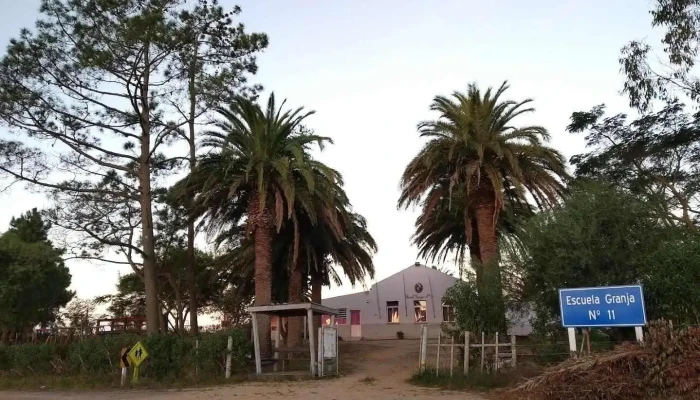 Escuela N° 11 - Departamento De Rocha