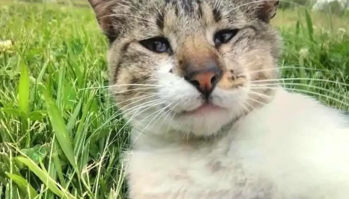 Escuela N° 16 - Ejido De Treinta Y Tres