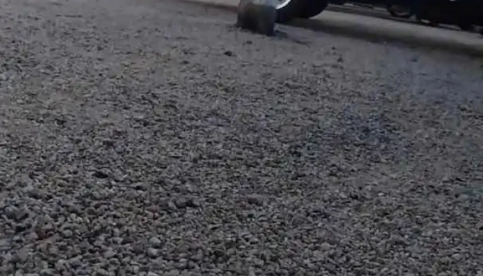 Escuela N°96 - Maldonado