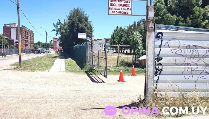 Escuela Nº 382 - Montevideo