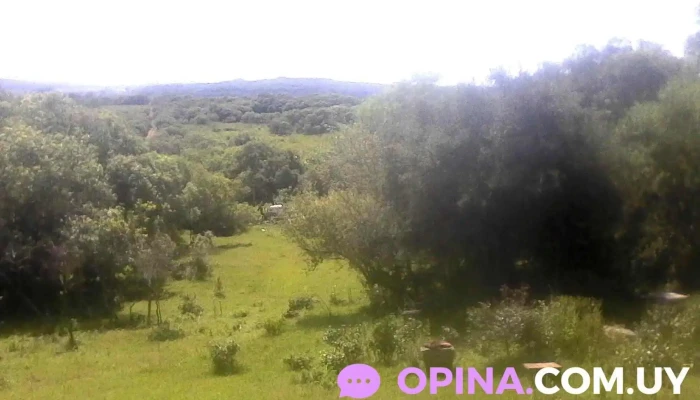 Escuela Nº 45 Andresito - Rivera