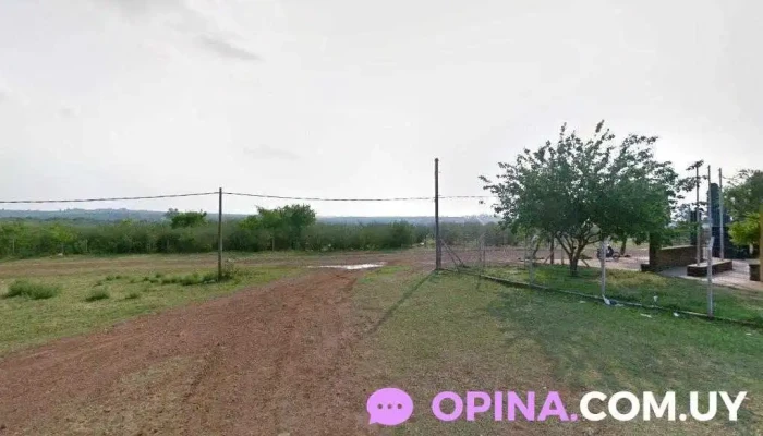 Escuela Nº65 - Artigas