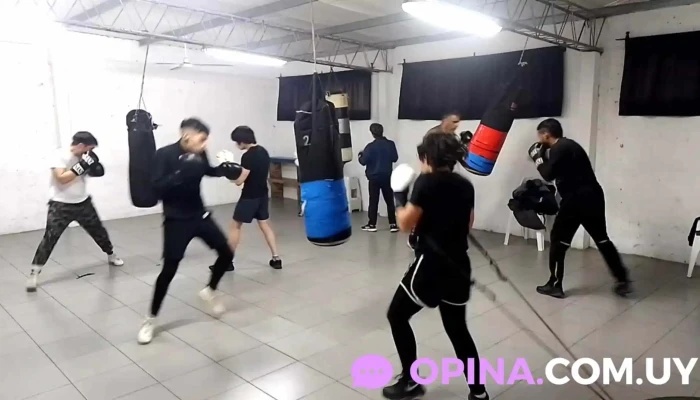 Escuela Pitbull Boxeo Kick Boxing Jiujitsu Y Defensa Personal -  Videos - Montevideo