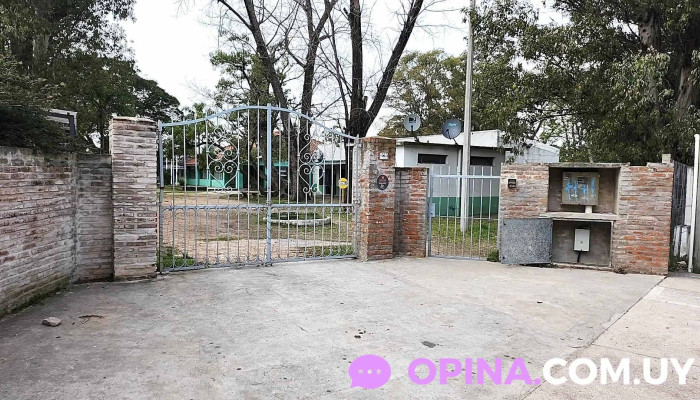 Escuela Publica Horario - Montevideo