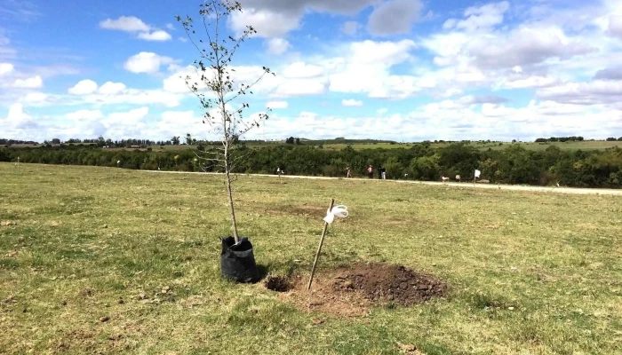 Escuela Publica Ndeg109 De Los Visitantes - Florida