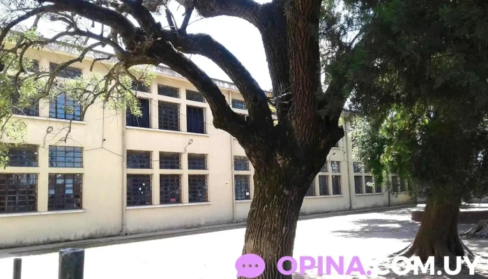 Escuela Pública Nº 102 y 195 - Montevideo